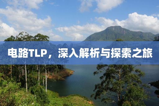 电路TLP，深入解析与探索之旅