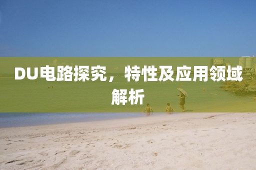 DU电路探究，特性及应用领域解析