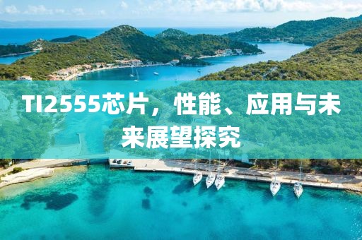TI2555芯片，性能、应用与未来展望探究