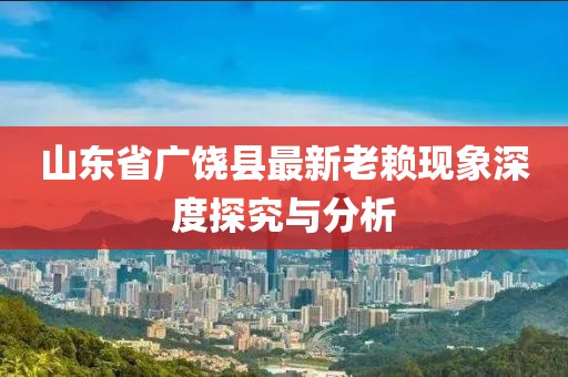 山东省广饶县最新老赖现象深度探究与分析