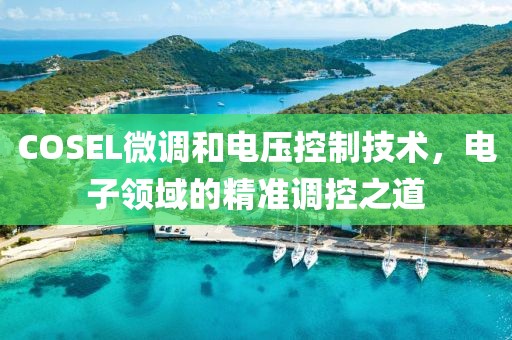 COSEL微调和电压控制技术，电子领域的精准调控之道