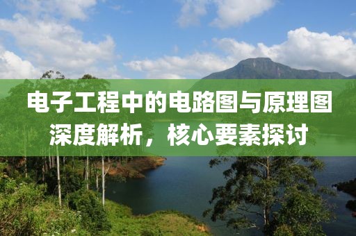 电子工程中的电路图与原理图深度解析，核心要素探讨