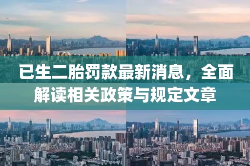已生二胎罚款最新消息，全面解读相关政策与规定文章