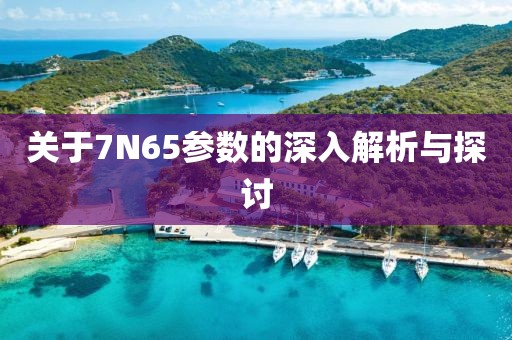 关于7N65参数的深入解析与探讨