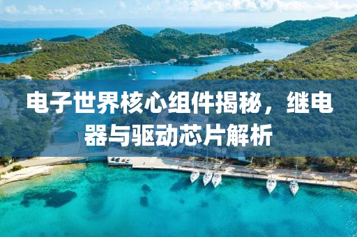 电子世界核心组件揭秘，继电器与驱动芯片解析