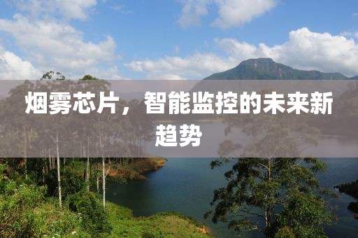 烟雾芯片，智能监控的未来新趋势