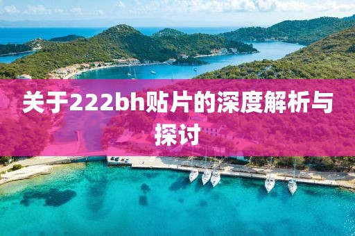 关于222bh贴片的深度解析与探讨