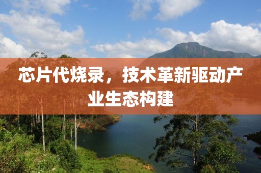 芯片代烧录，技术革新驱动产业生态构建