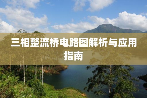 三相整流桥电路图解析与应用指南