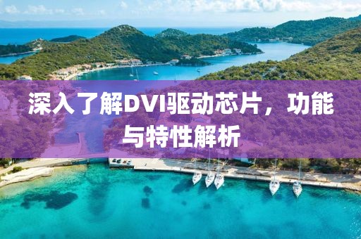 深入了解DVI驱动芯片，功能与特性解析