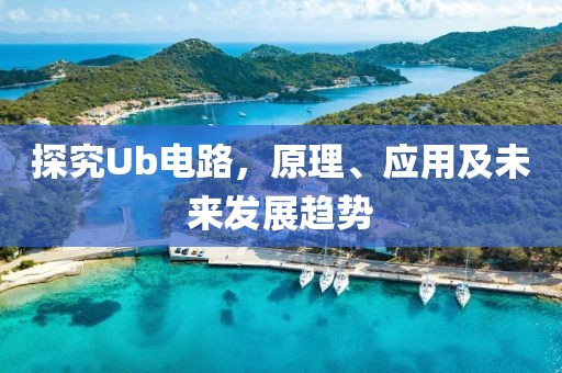 探究Ub电路，原理、应用及未来发展趋势