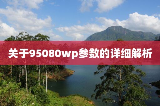 关于95080wp参数的详细解析