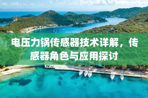 电压力锅传感器技术详解，传感器角色与应用探讨