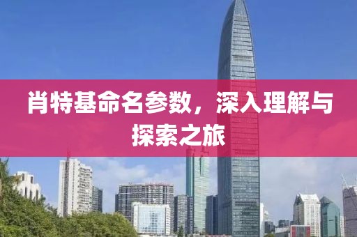 肖特基命名参数，深入理解与探索之旅