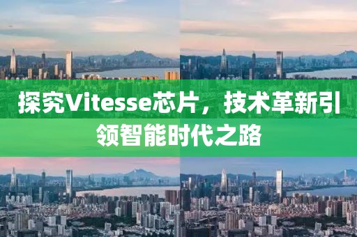 探究Vitesse芯片，技术革新引领智能时代之路