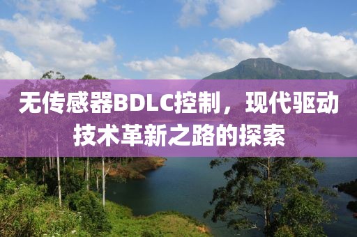 无传感器BDLC控制，现代驱动技术革新之路的探索