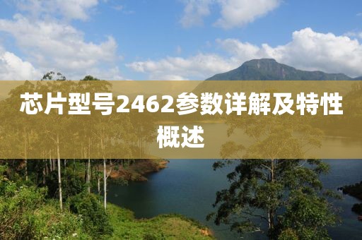 芯片型号2462参数详解及特性概述