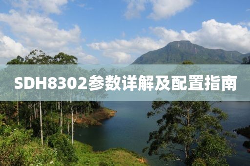 SDH8302参数详解及配置指南