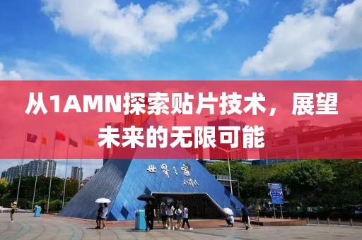 从1AMN探索贴片技术，展望未来的无限可能
