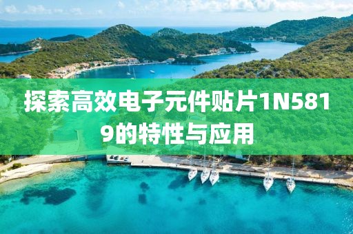探索高效电子元件贴片1N5819的特性与应用