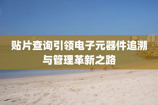 贴片查询引领电子元器件追溯与管理革新之路