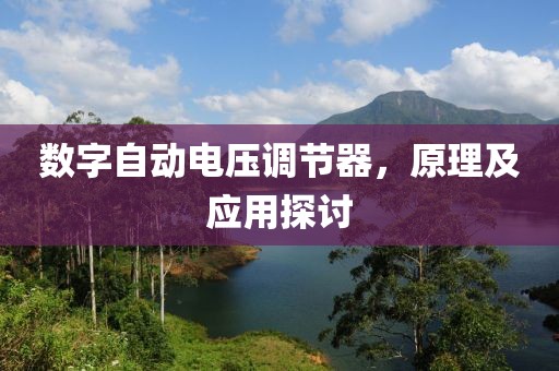 数字自动电压调节器，原理及应用探讨