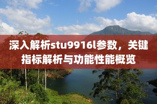 深入解析stu9916l参数，关键指标解析与功能性能概览