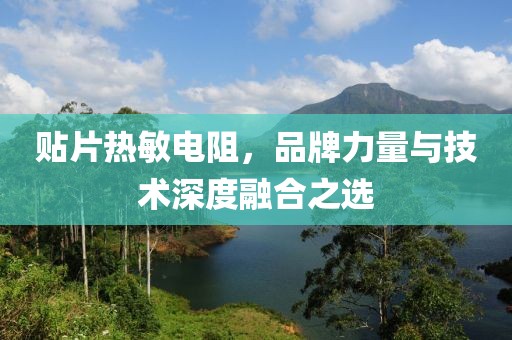 贴片热敏电阻，品牌力量与技术深度融合之选