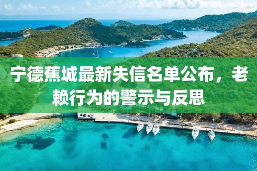 宁德蕉城最新失信名单公布，老赖行为的警示与反思