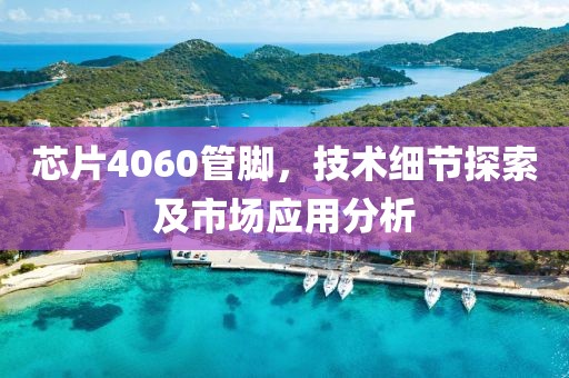 芯片4060管脚，技术细节探索及市场应用分析