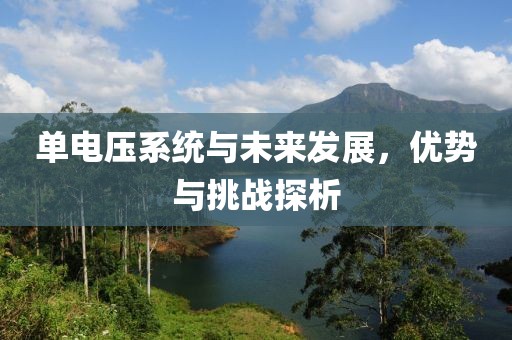 单电压系统与未来发展，优势与挑战探析