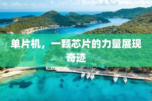 单片机，一颗芯片的力量展现奇迹