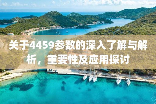 关于4459参数的深入了解与解析，重要性及应用探讨