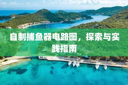 自制捕鱼器电路图，探索与实践指南
