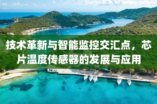技术革新与智能监控交汇点，芯片温度传感器的发展与应用