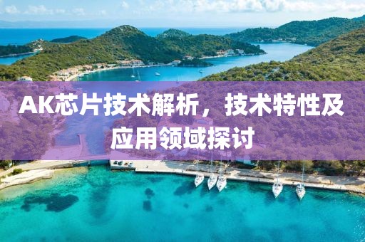 AK芯片技术解析，技术特性及应用领域探讨