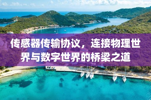 传感器传输协议，连接物理世界与数字世界的桥梁之道