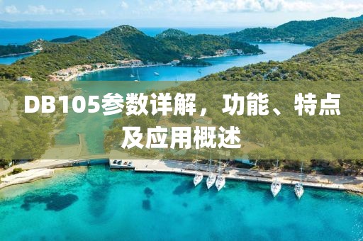 DB105参数详解，功能、特点及应用概述