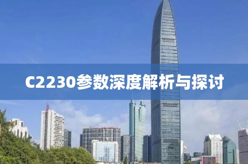C2230参数深度解析与探讨