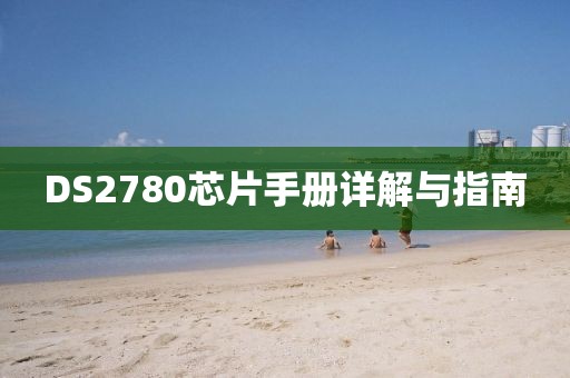 DS2780芯片手册详解与指南