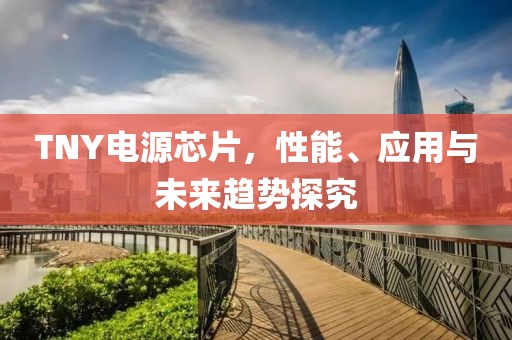 TNY电源芯片，性能、应用与未来趋势探究