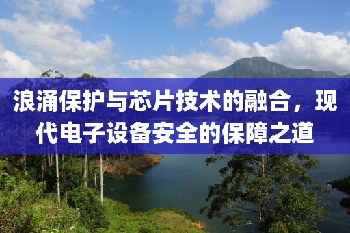 浪涌保护与芯片技术的融合，现代电子设备安全的保障之道