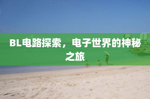 BL电路探索，电子世界的神秘之旅