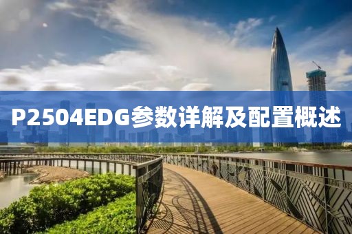 P2504EDG参数详解及配置概述