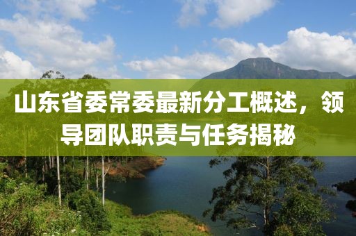 山东省委常委最新分工概述，领导团队职责与任务揭秘