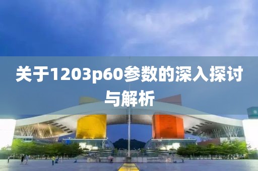 关于1203p60参数的深入探讨与解析