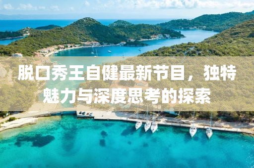 脱口秀王自健最新节目，独特魅力与深度思考的探索