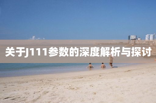 关于J111参数的深度解析与探讨