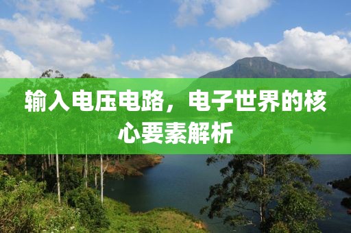输入电压电路，电子世界的核心要素解析