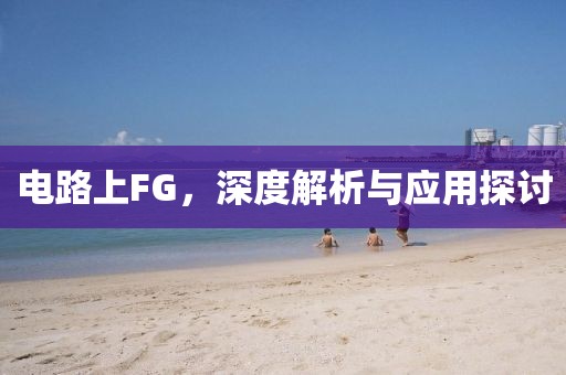 电路上FG，深度解析与应用探讨